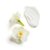 Lotiune pentru corp intens hidratanta Nu Skin Perennial