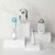 ageloc-boost-system-4 Dispozitive Nu Skin